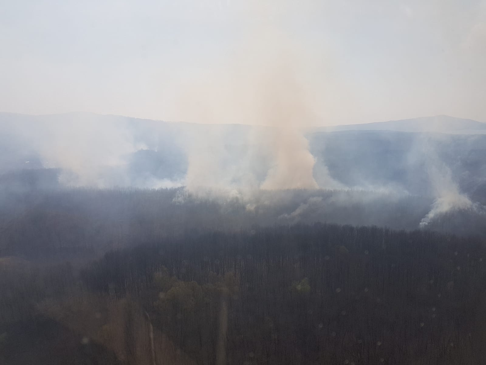 WhatsApp Image 2020-04-08 at 13.35.30 (2)