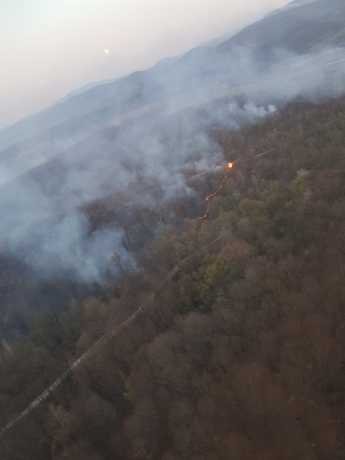 WhatsApp Image 2020-04-08 at 13.35.30 (3)