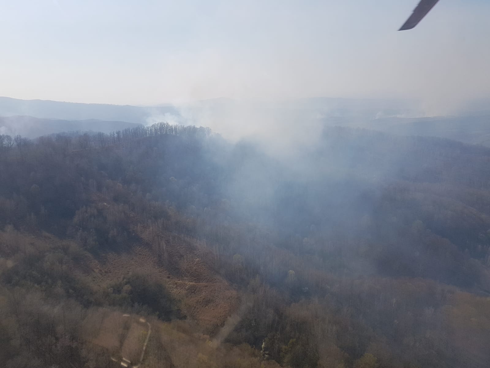 WhatsApp Image 2020-04-08 at 13.35.31