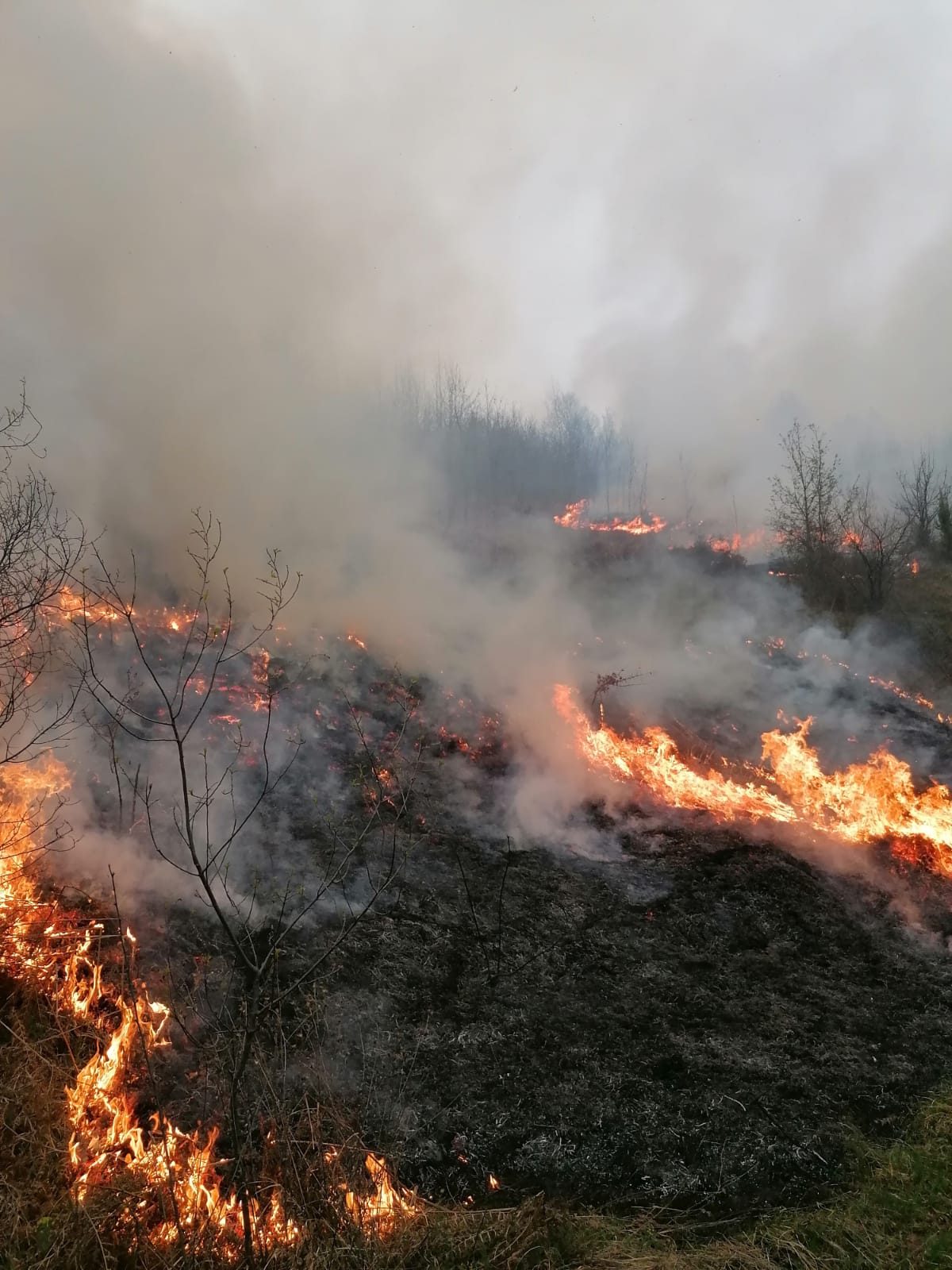 WhatsApp Image 2020-04-14 at 11.37.49