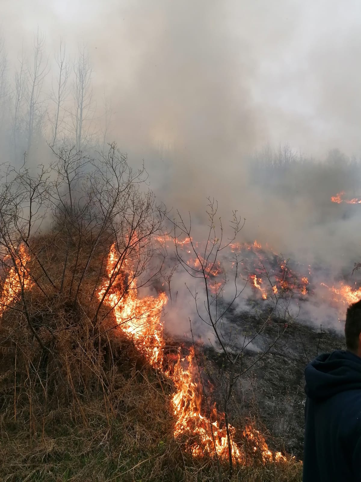 WhatsApp Image 2020-04-14 at 11.37.58