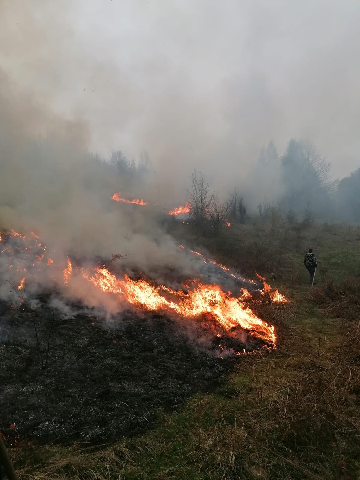 WhatsApp Image 2020-04-14 at 11.38.00