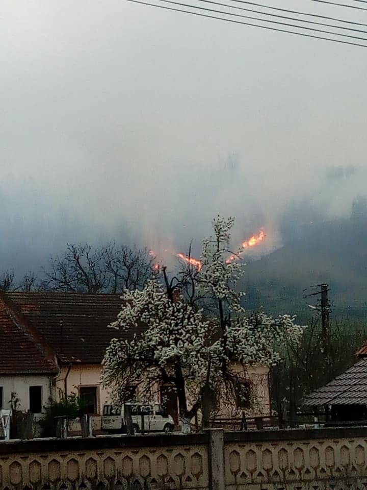 Pășune împădurită cuprinsă de flăcări pe o suprafață de aproximativ 25 de hectare, în județul Timiș