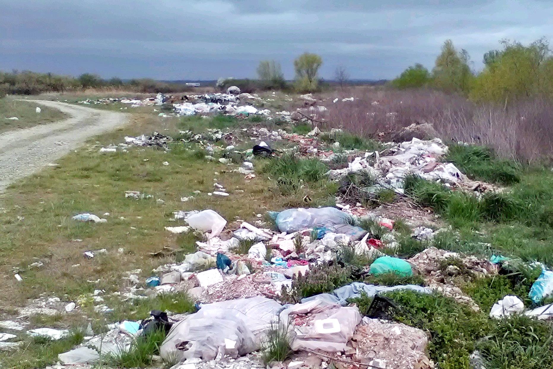 Primării din Timiș, avertizate să strângă gunoiul de pe malurile cursurilor de apă