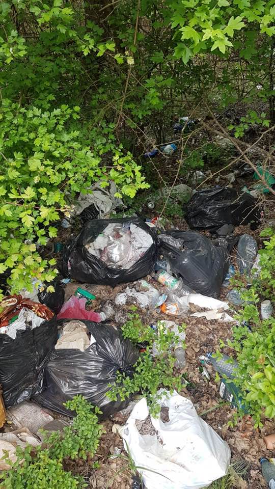 95838878_1121728938194507_2176098725875679232_n (1)