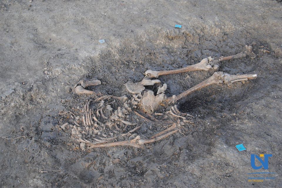 Mormânt colectiv descoperit în Timișoara, de pe vremea epidemiei de ciumă