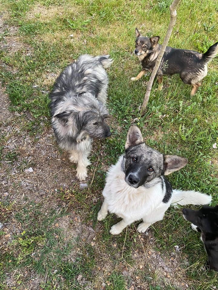 WhatsApp Image 2020-05-23 at 12.14.48