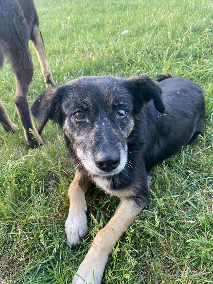 WhatsApp Image 2020-05-23 at 12.14.50(1)