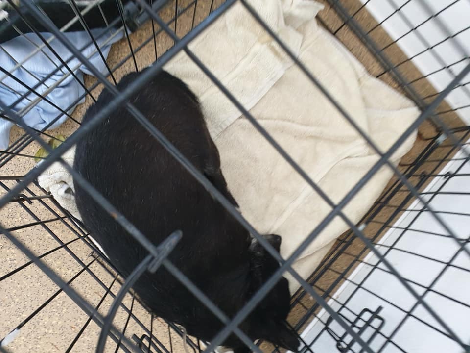 WhatsApp Image 2020-05-23 at 12.14.50(2)