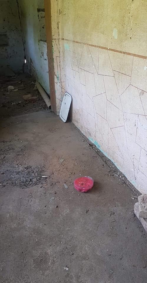 WhatsApp Image 2020-05-23 at 12.14.51(2)