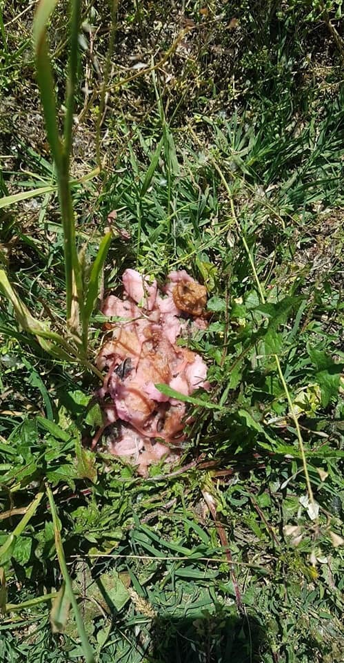 WhatsApp Image 2020-05-23 at 12.14.51(3)