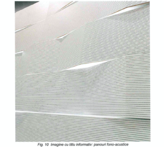 cinema timis din proiect 2