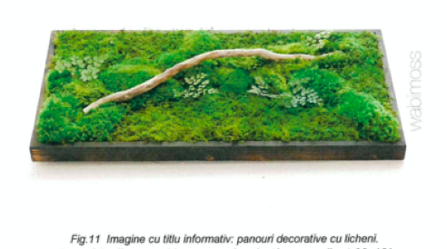 cinema timis din proiect 3