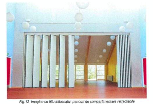 cinema timis din proiect 4