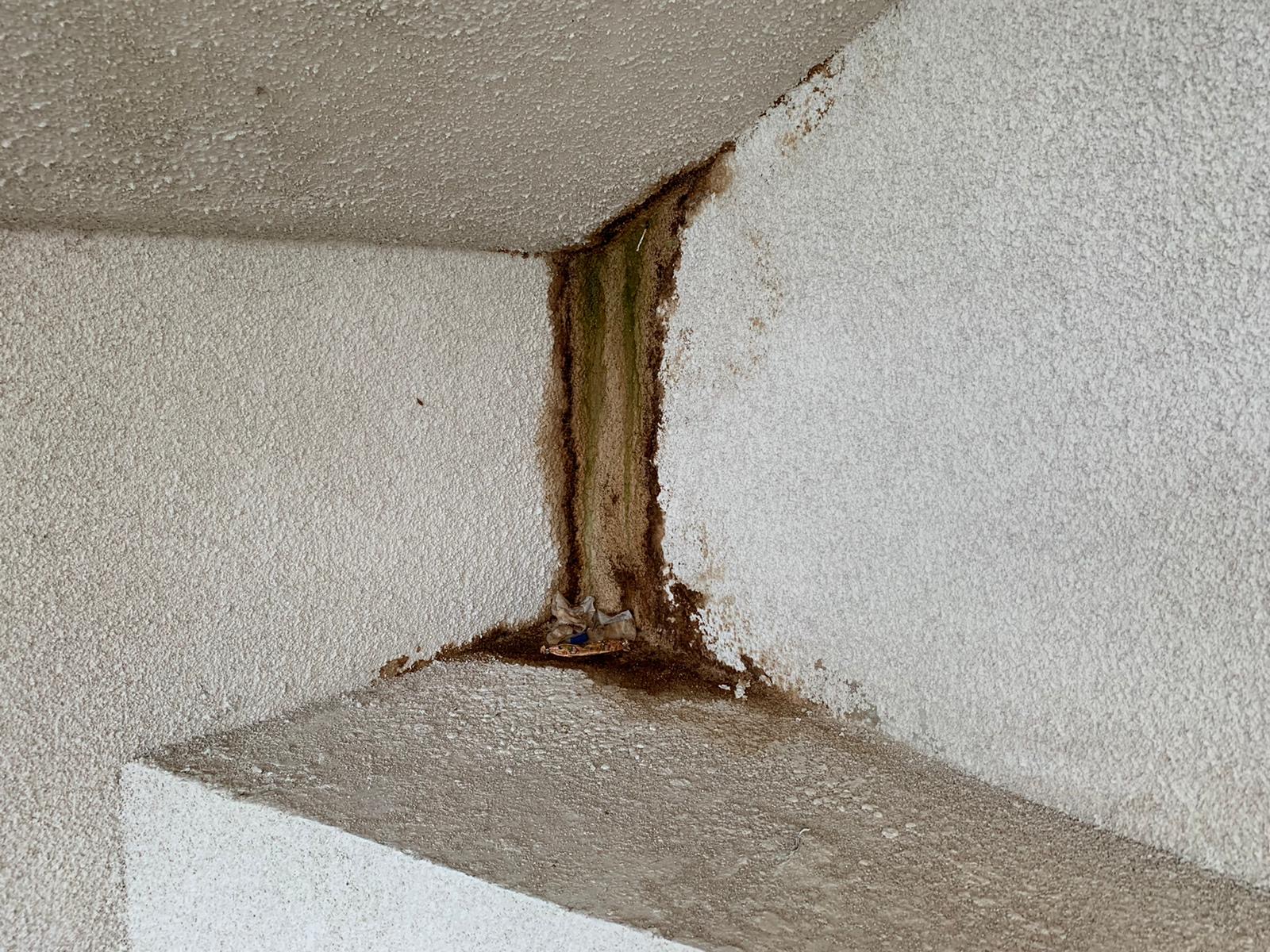 podul dragalina infiltratii mai 2020 12