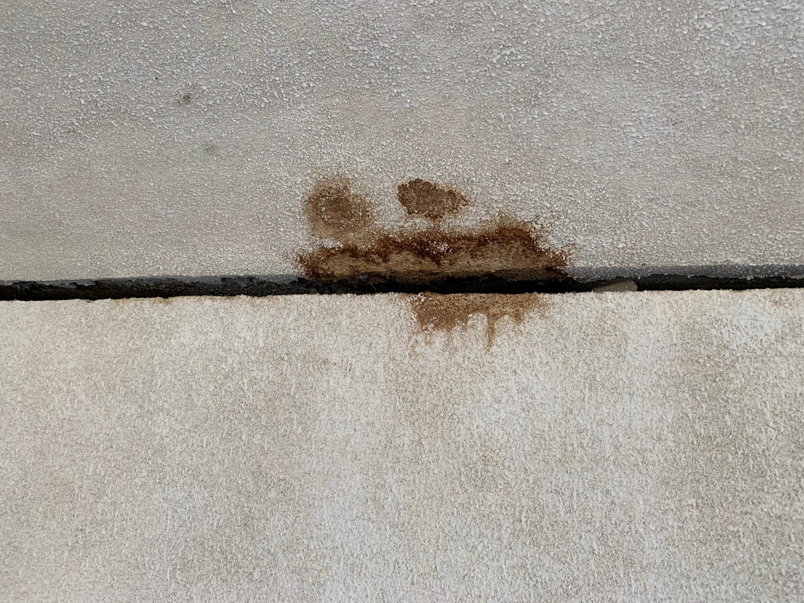 podul dragalina infiltratii mai 2020 2