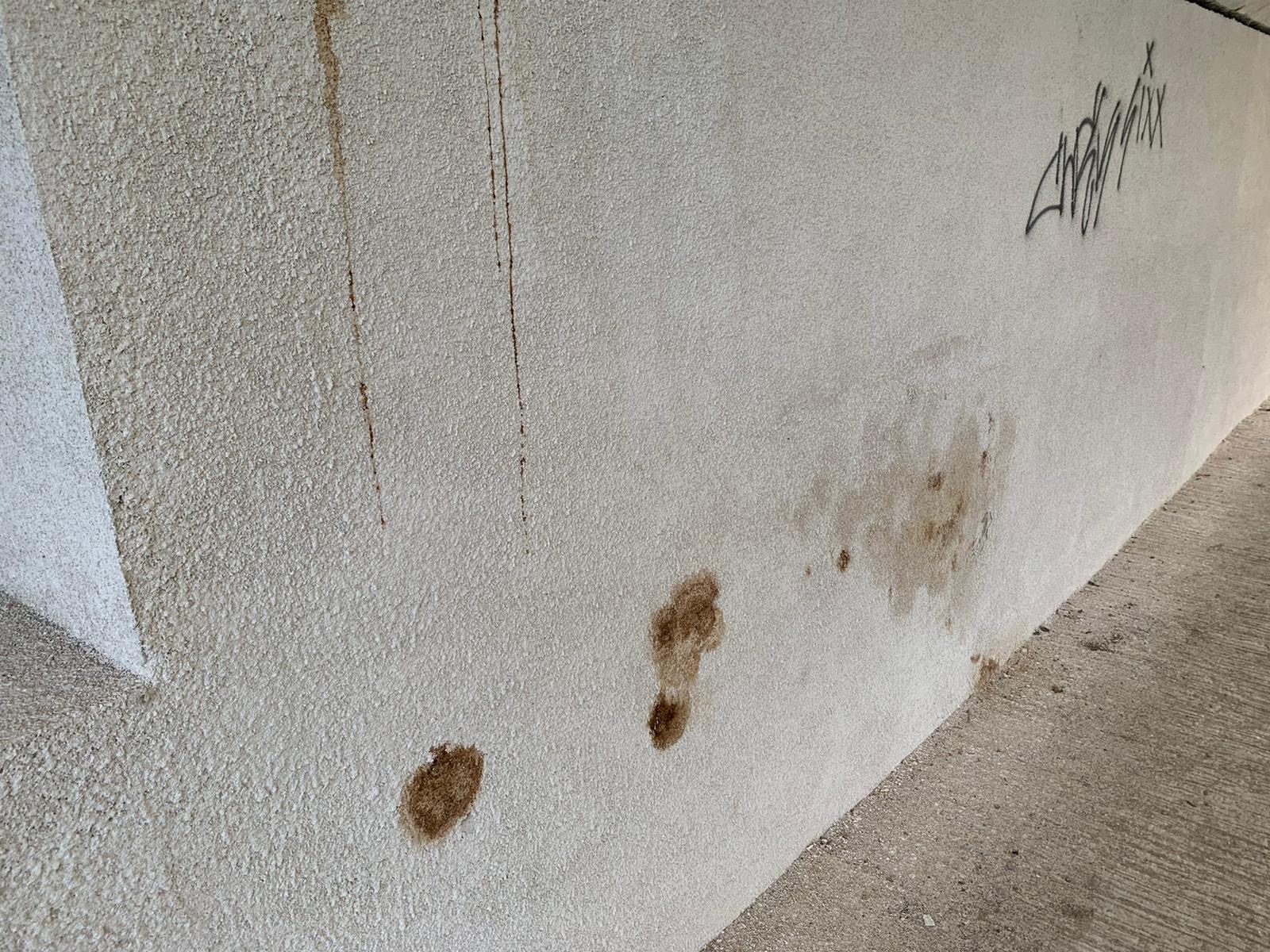 podul dragalina infiltratii mai 2020 4