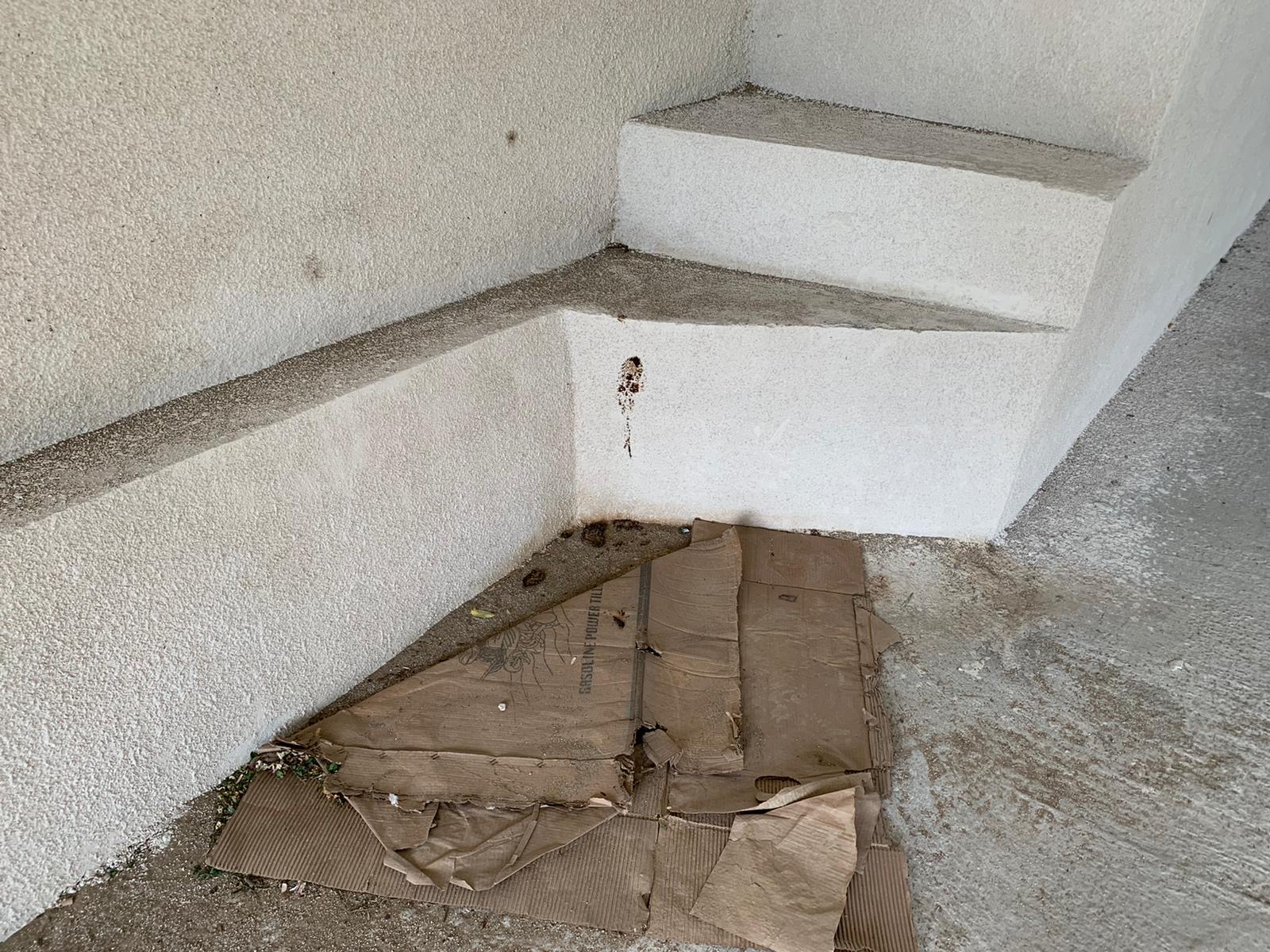 podul dragalina infiltratii mai 2020 5