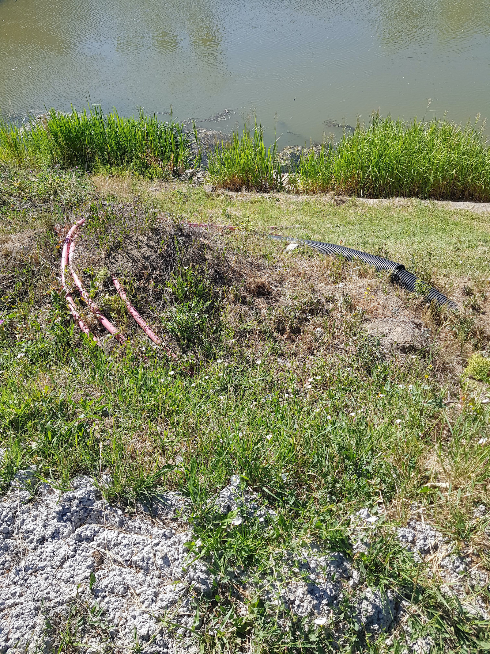 podul eroilor finisaje ioc 13