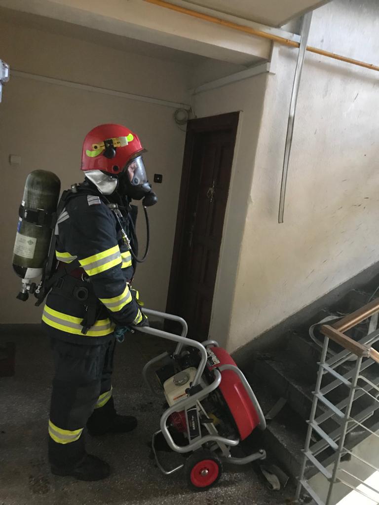 WhatsApp Image 2020-06-03 at 14.32.54 (1)