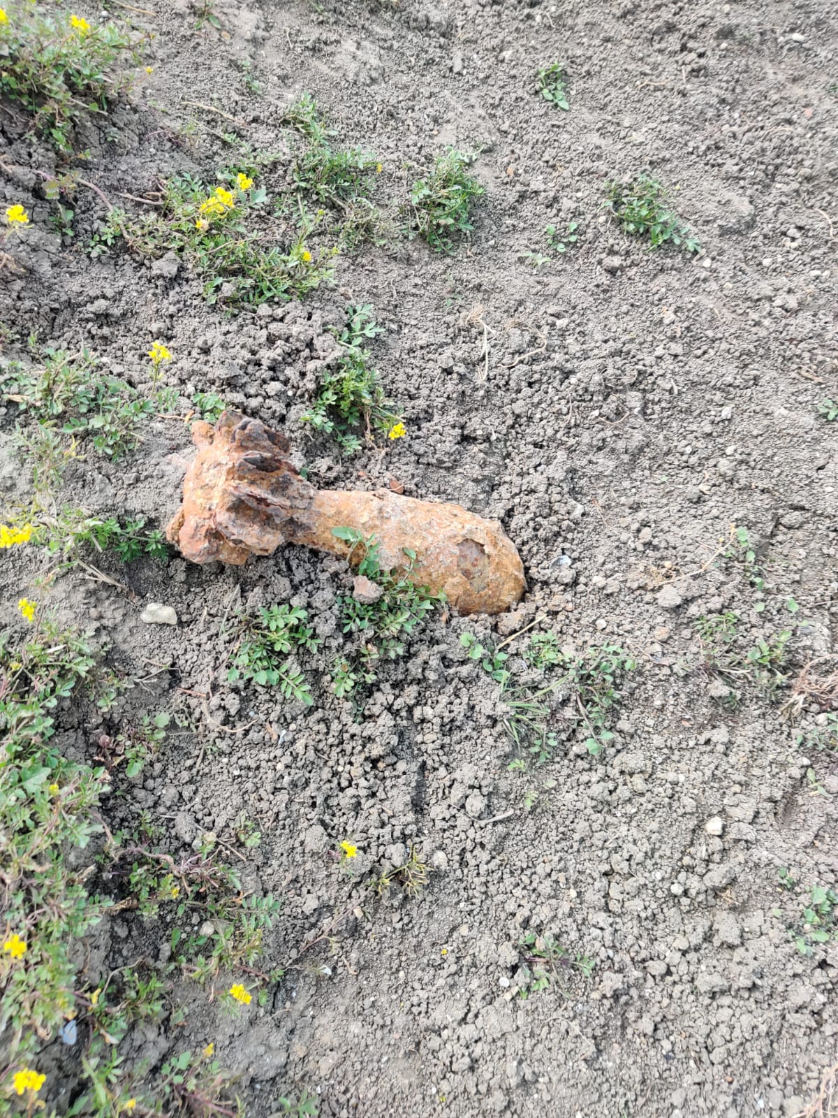 WhatsApp Image 2020-06-03 at 15.53.39