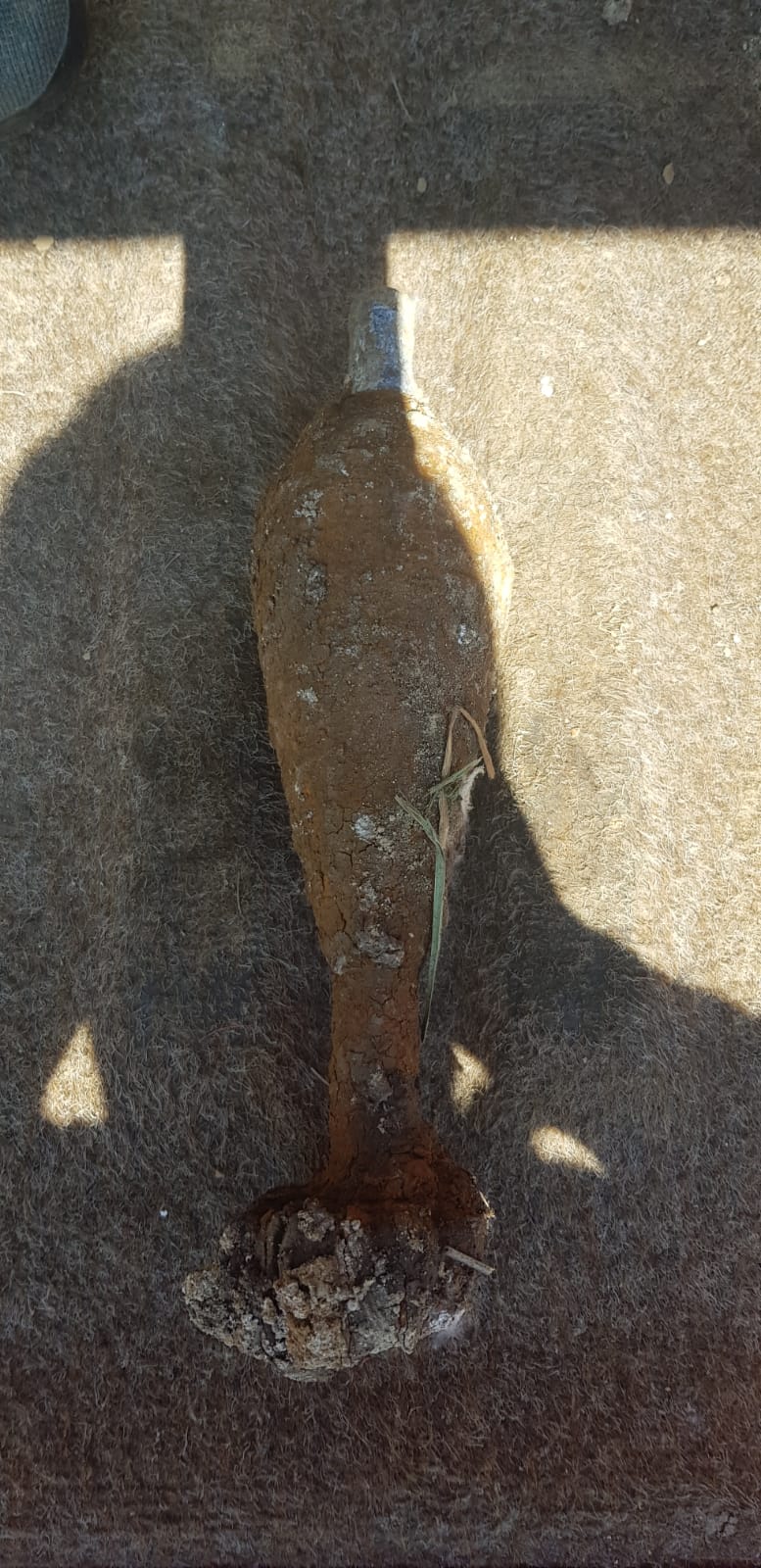 WhatsApp Image 2020-06-03 at 15.54.02