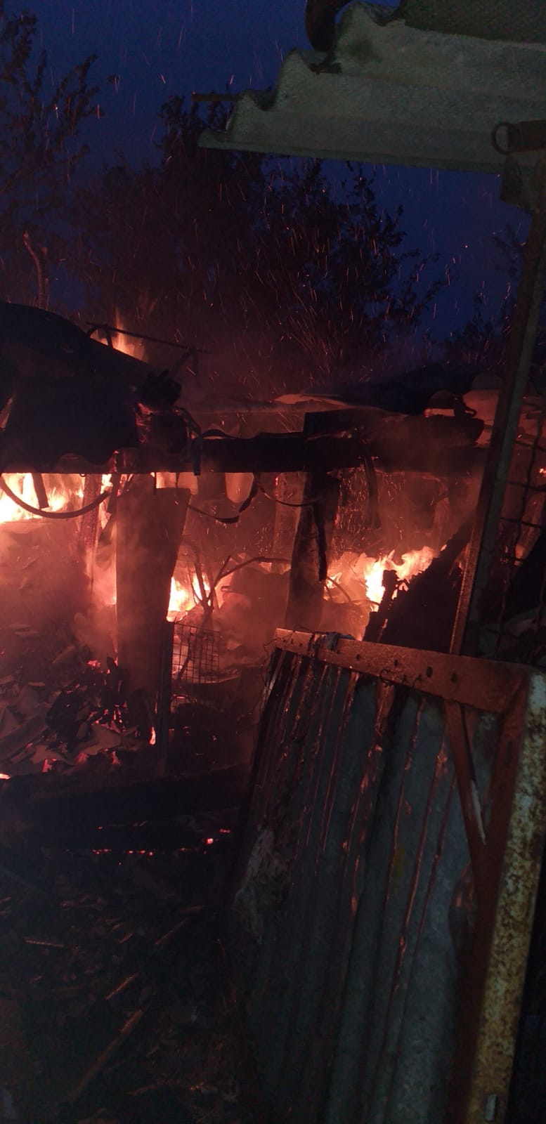 WhatsApp Image 2020-06-12 at 09.21.51