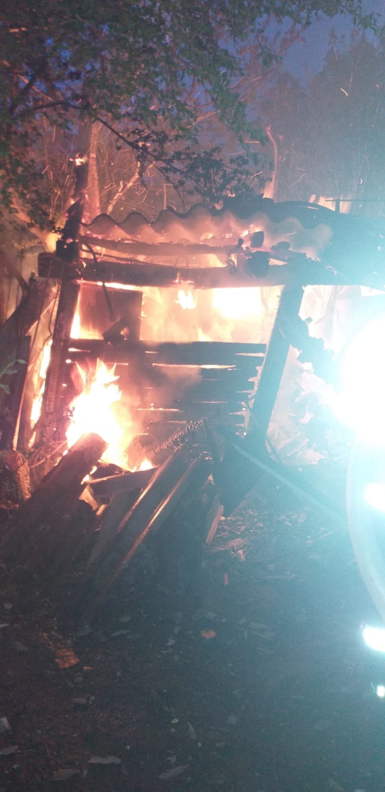 WhatsApp Image 2020-06-12 at 09.21.52