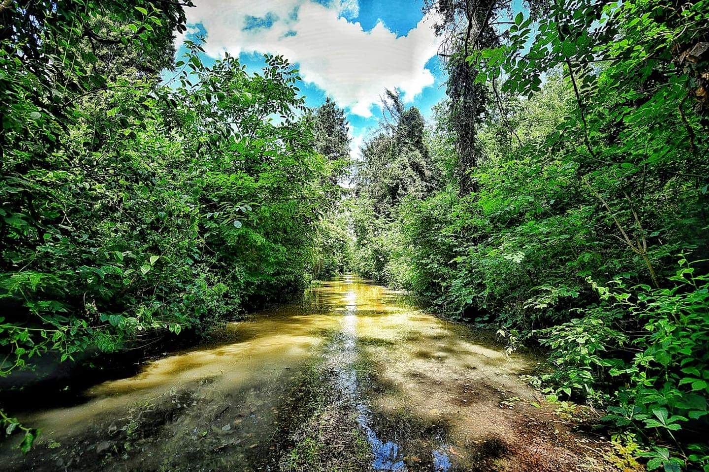 WhatsApp Image 2020-06-19 at 17.36.16