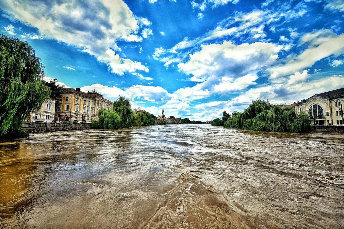 WhatsApp Image 2020-06-19 at 17.36.16(1)