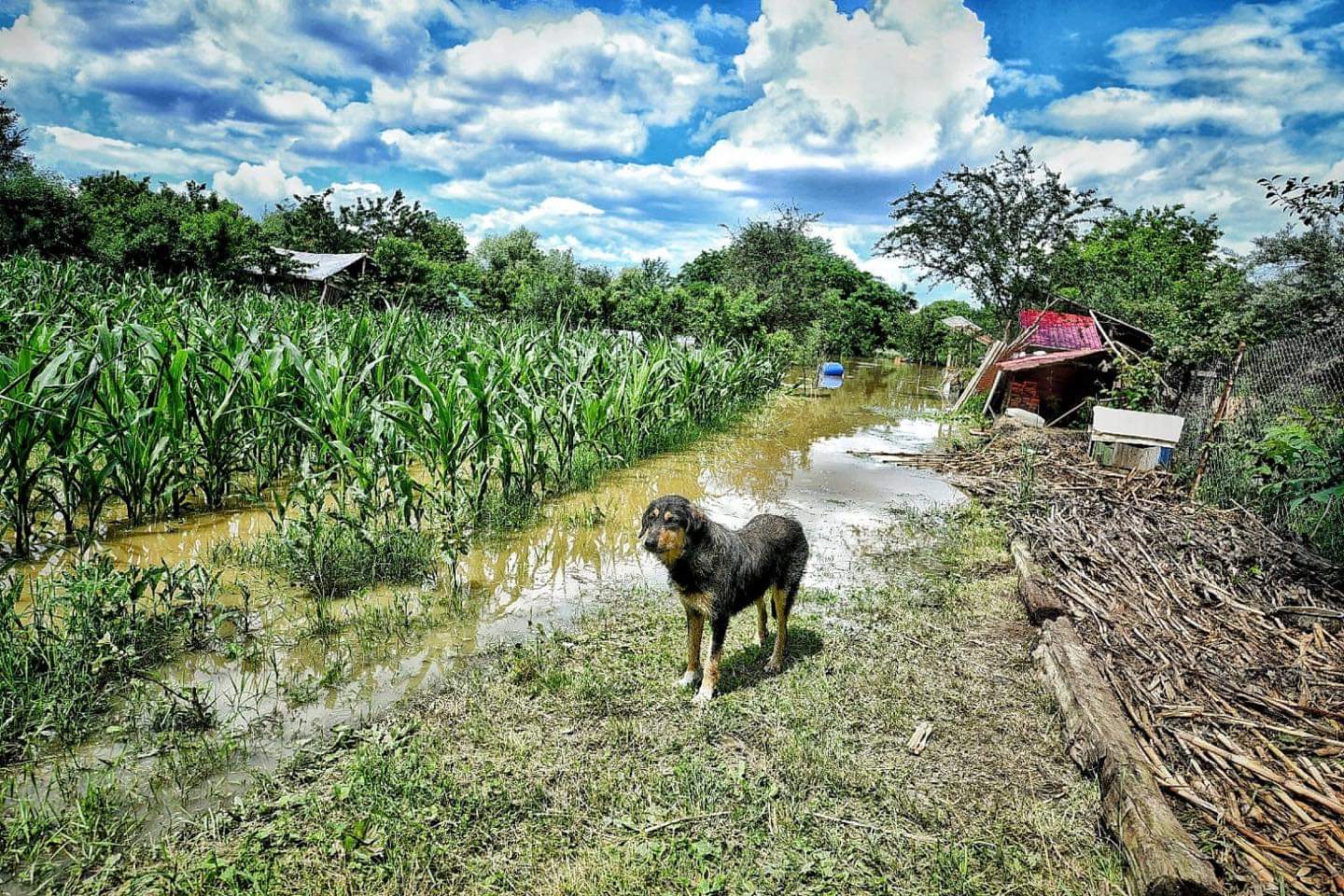 WhatsApp Image 2020-06-19 at 17.36.16(3)