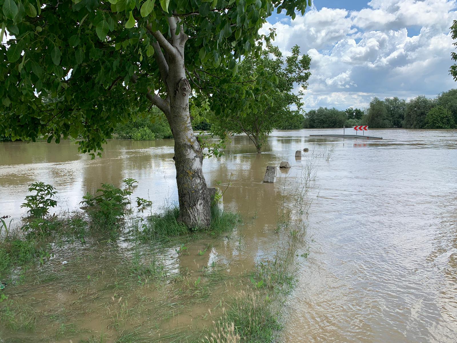 WhatsApp Image 2020-06-20 at 13.41.22