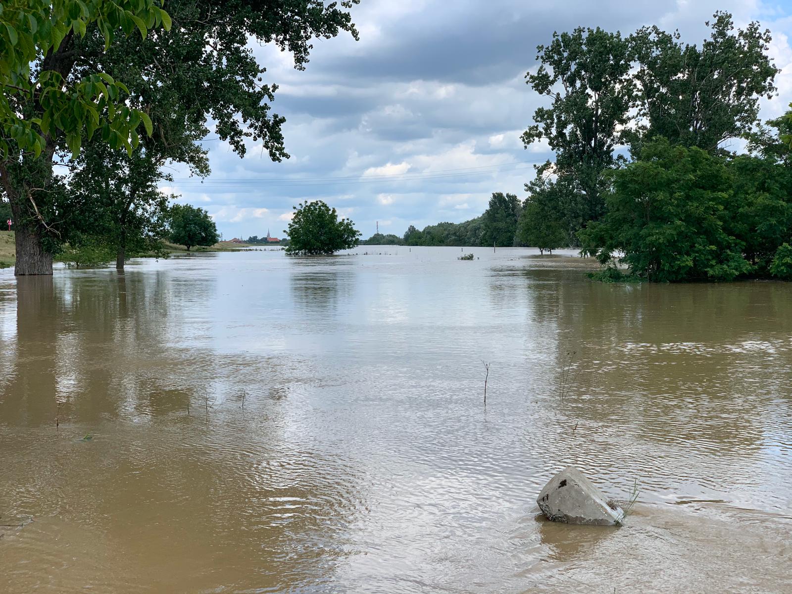 WhatsApp Image 2020-06-20 at 13.41.23