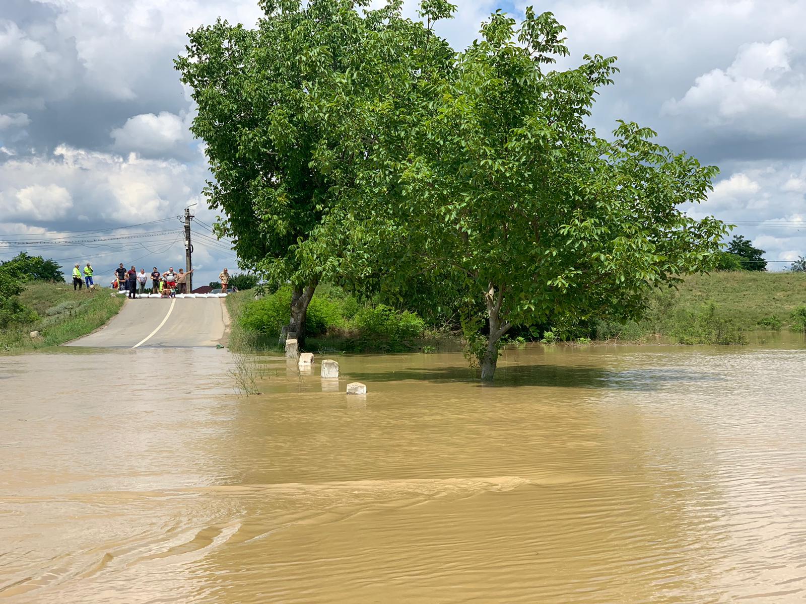 WhatsApp Image 2020-06-20 at 13.41.23(2)