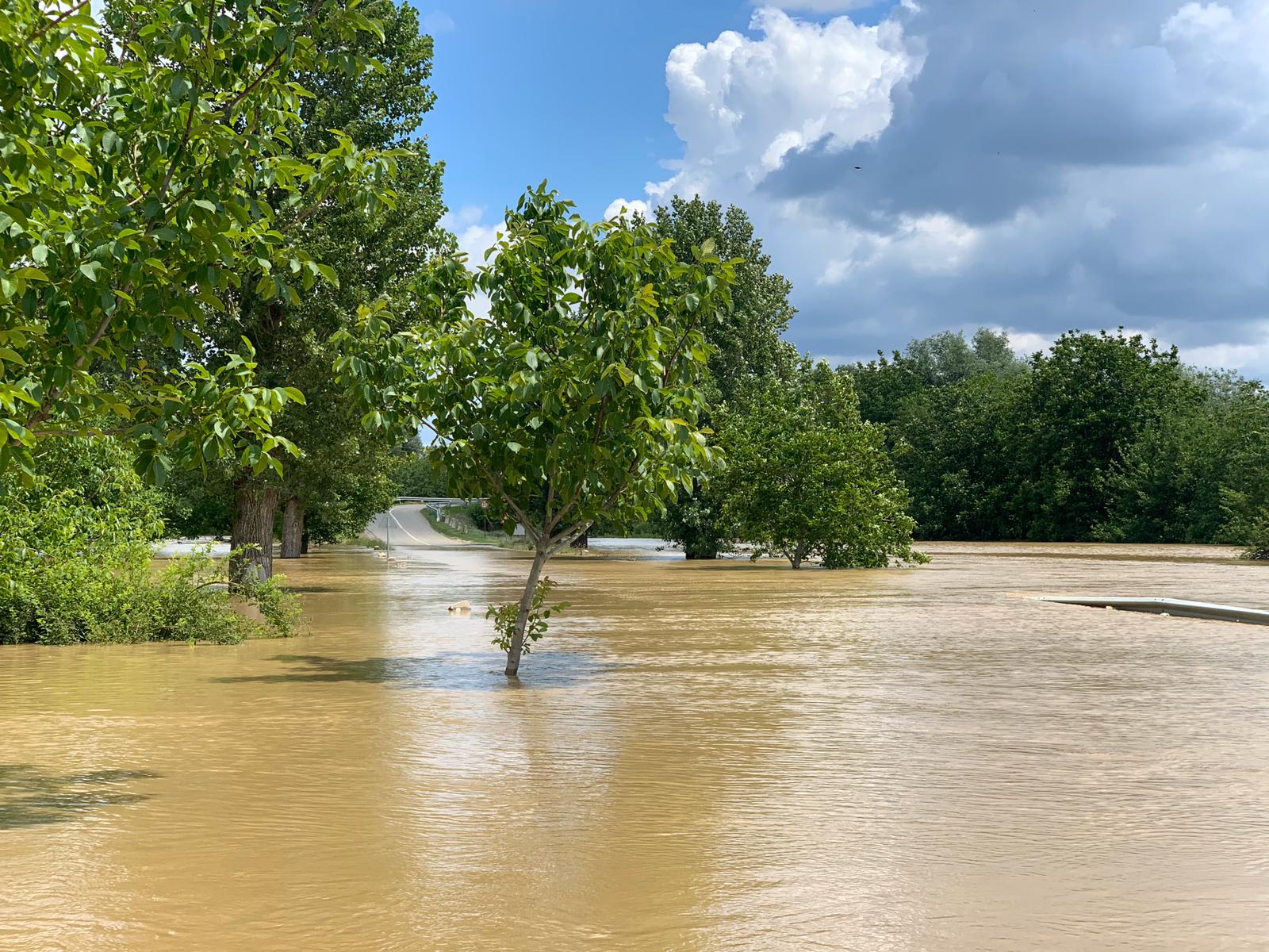 WhatsApp Image 2020-06-20 at 13.41.23(3)