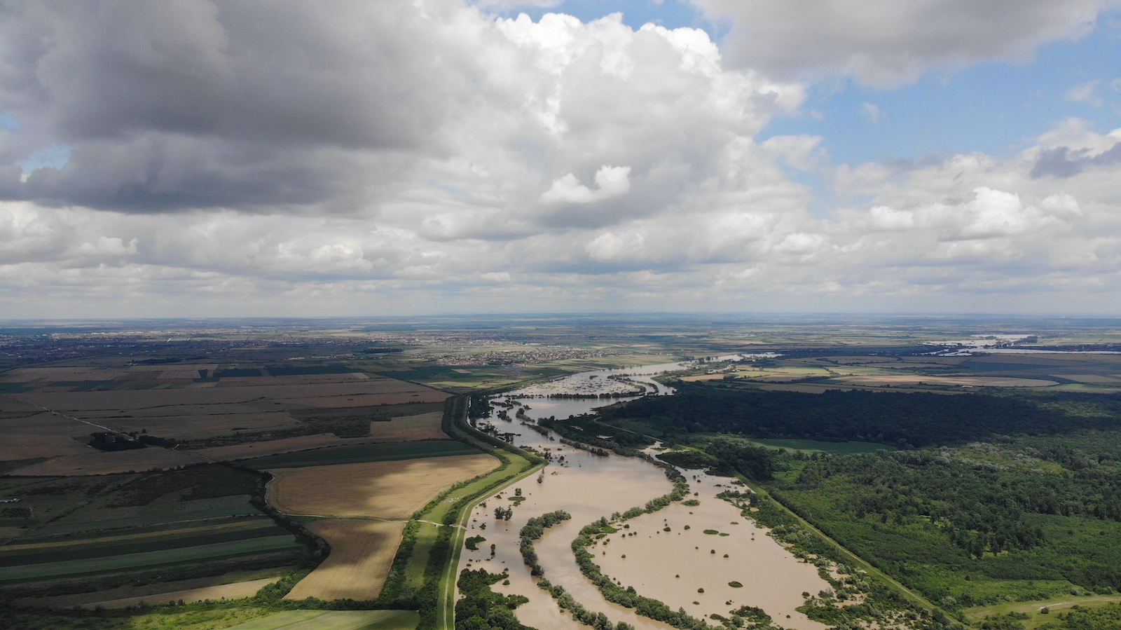 WhatsApp Image 2020-06-20 at 16.12.56(1)