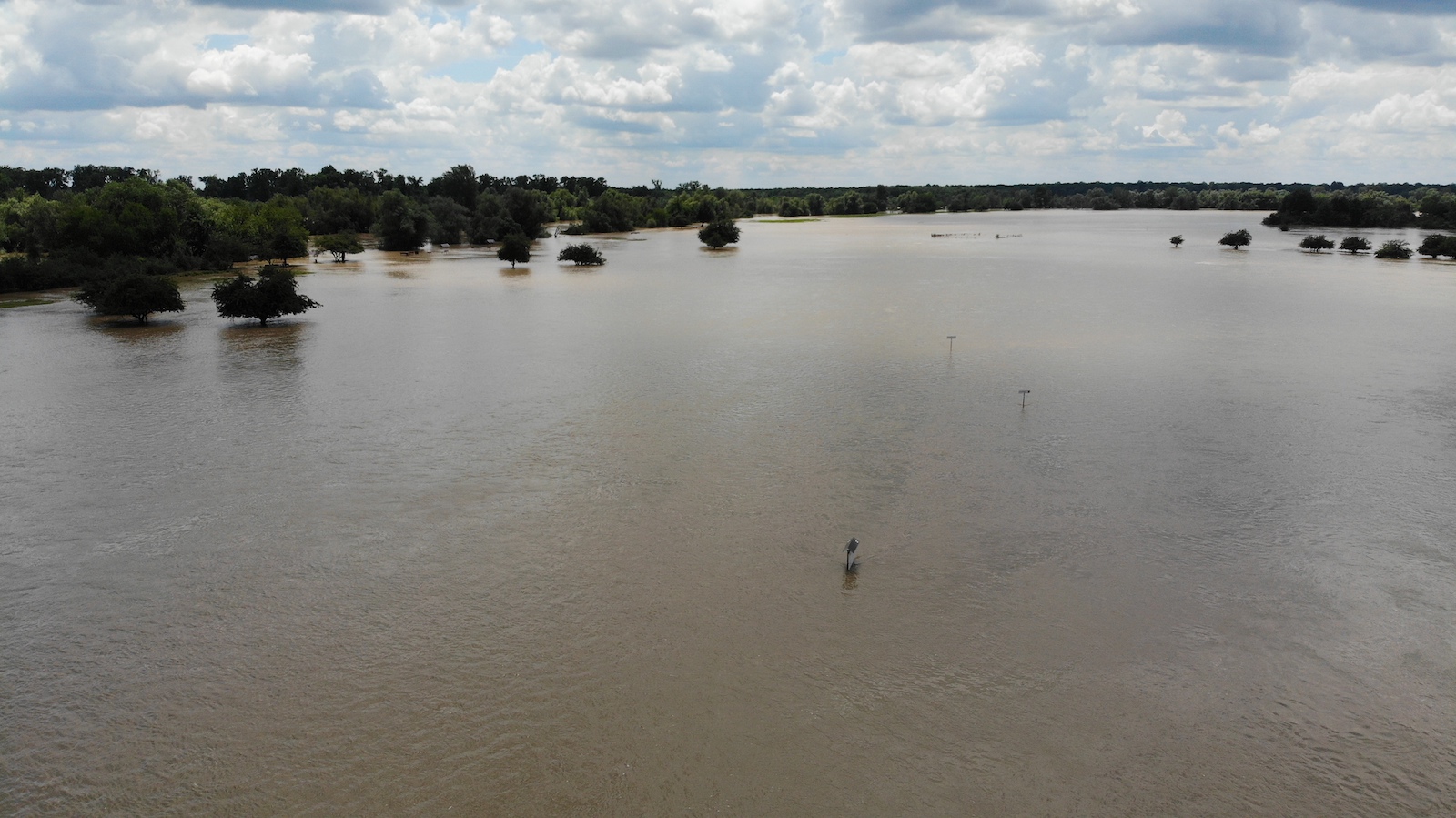 WhatsApp Image 2020-06-20 at 16.12.56(2)