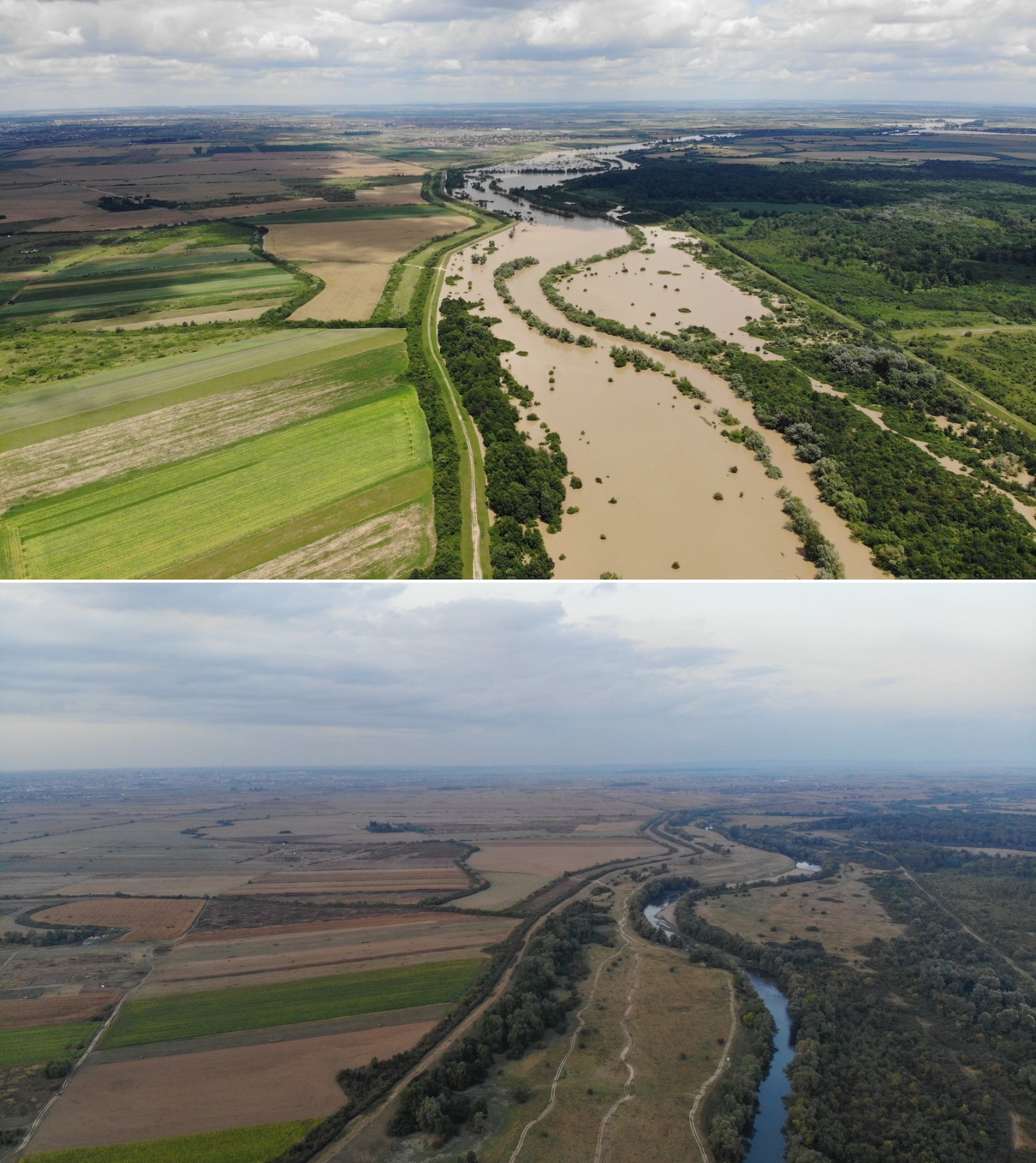 WhatsApp Image 2020-06-20 at 16.12.57