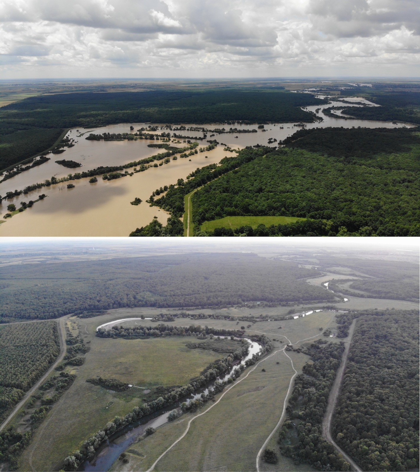 WhatsApp Image 2020-06-20 at 16.12.57(1)