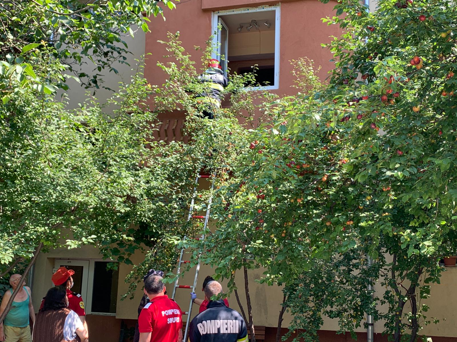 WhatsApp Image 2020-06-29 at 13.17.16