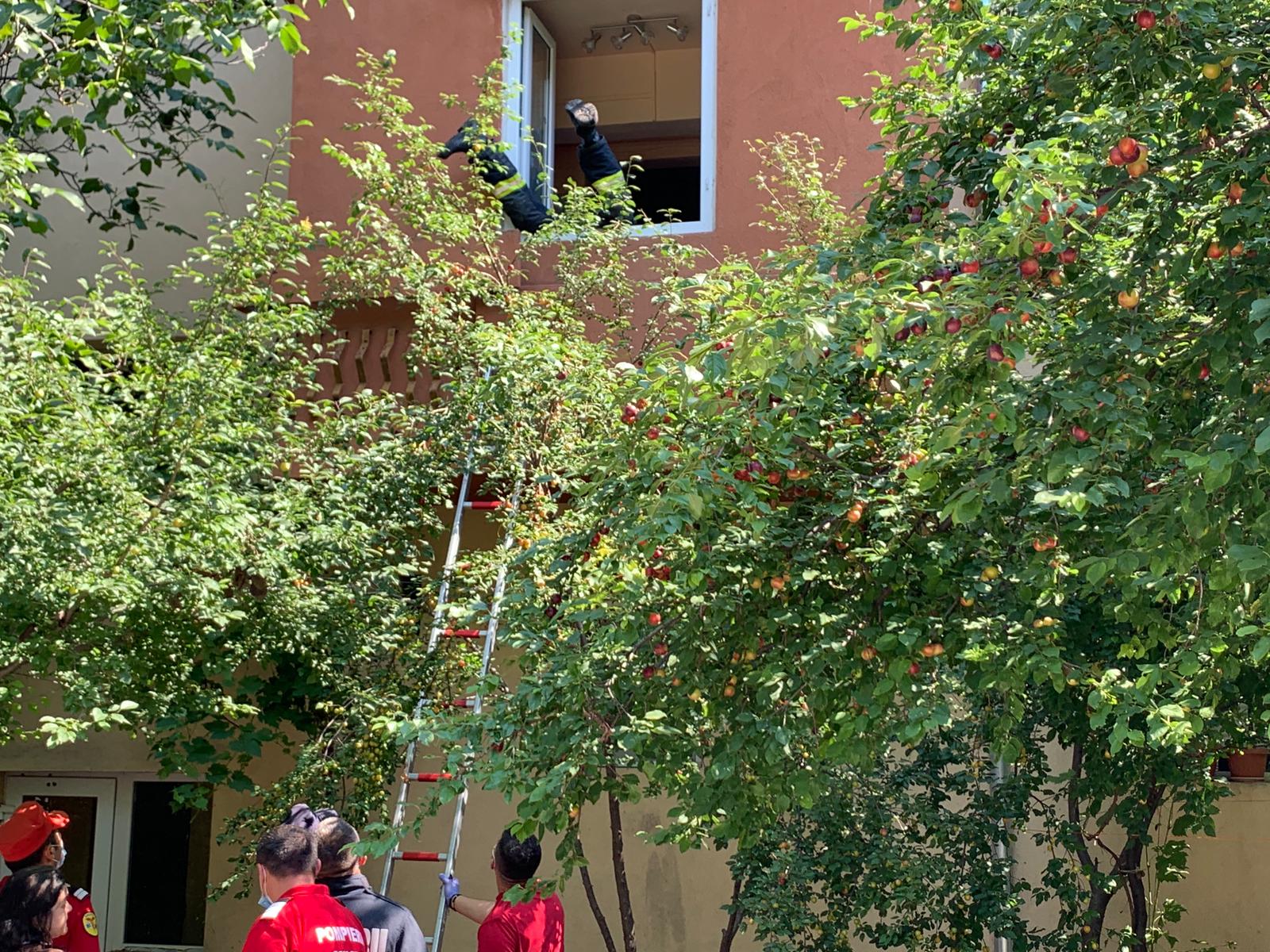 WhatsApp Image 2020-06-29 at 13.17.18