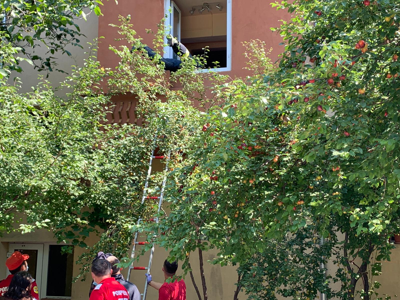 WhatsApp Image 2020-06-29 at 13.17.18 (1)