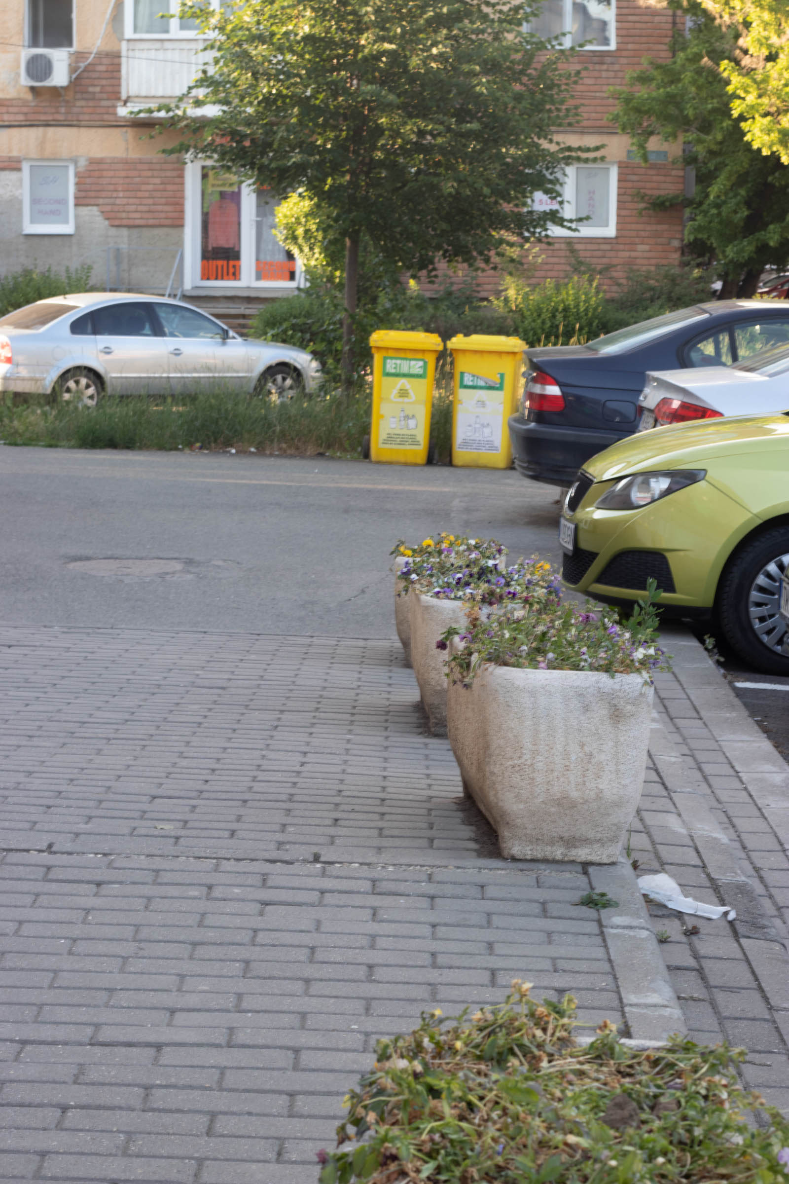 jardiniere flori uscate praf soarelui 1