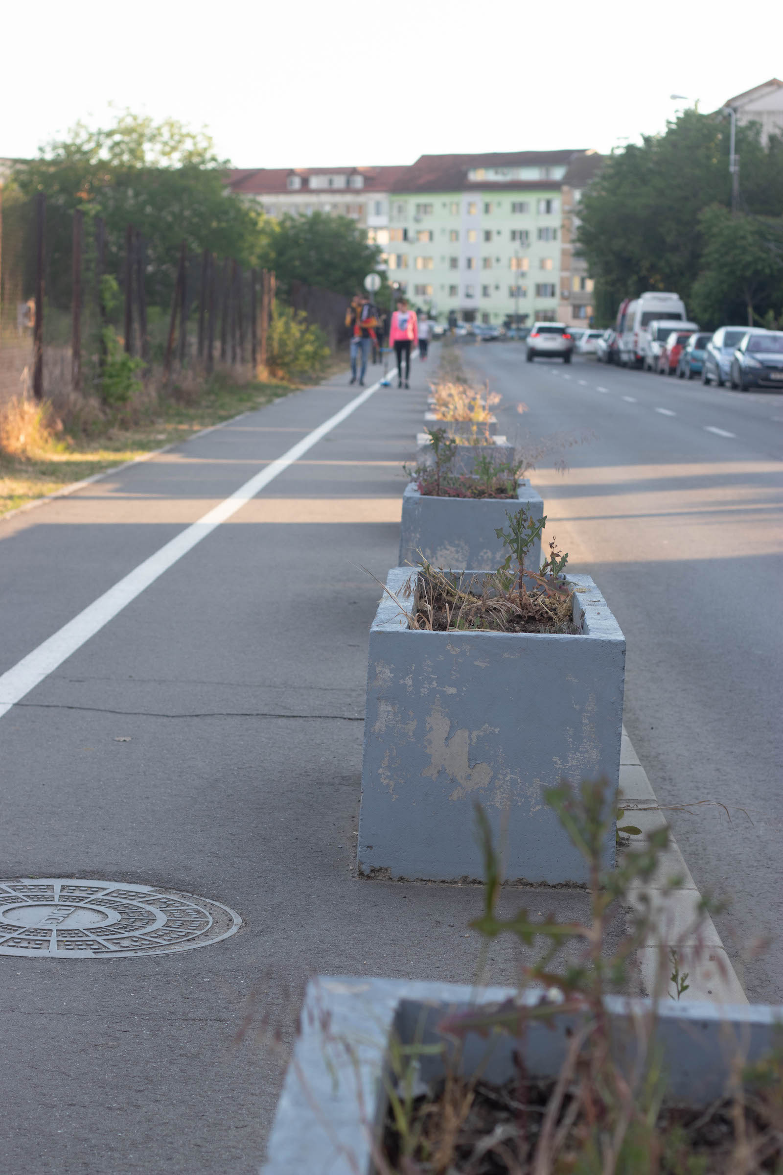 jardiniere flori uscate praf soarelui 10