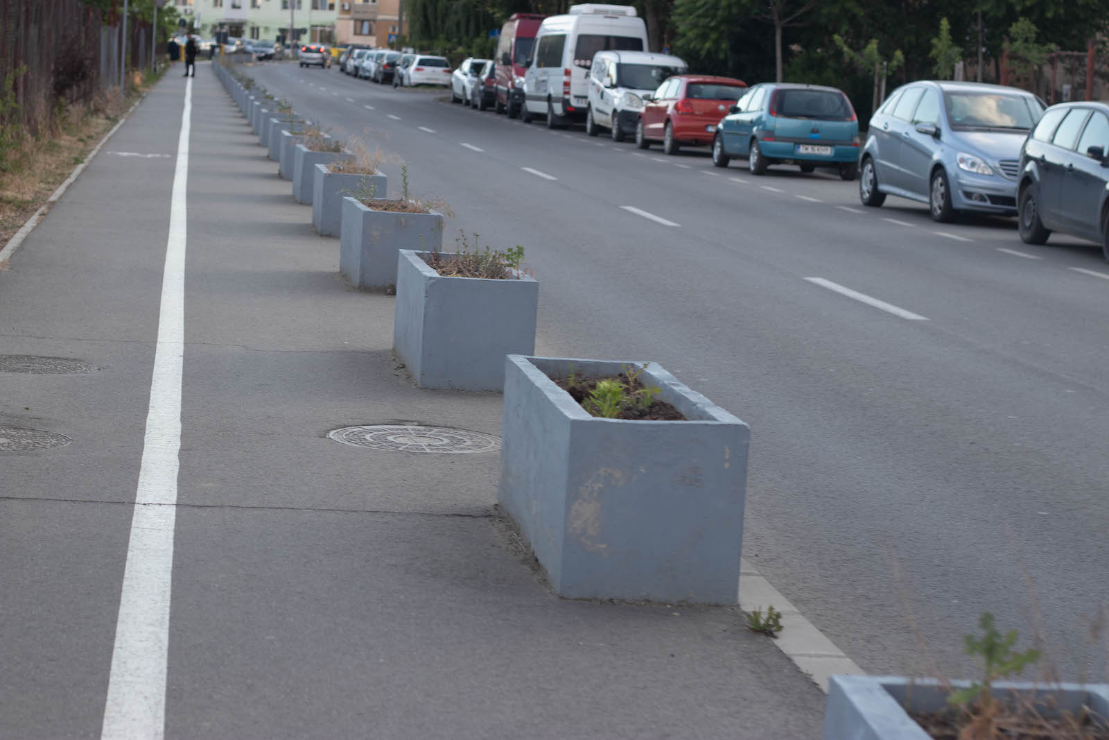 jardiniere flori uscate praf soarelui 13