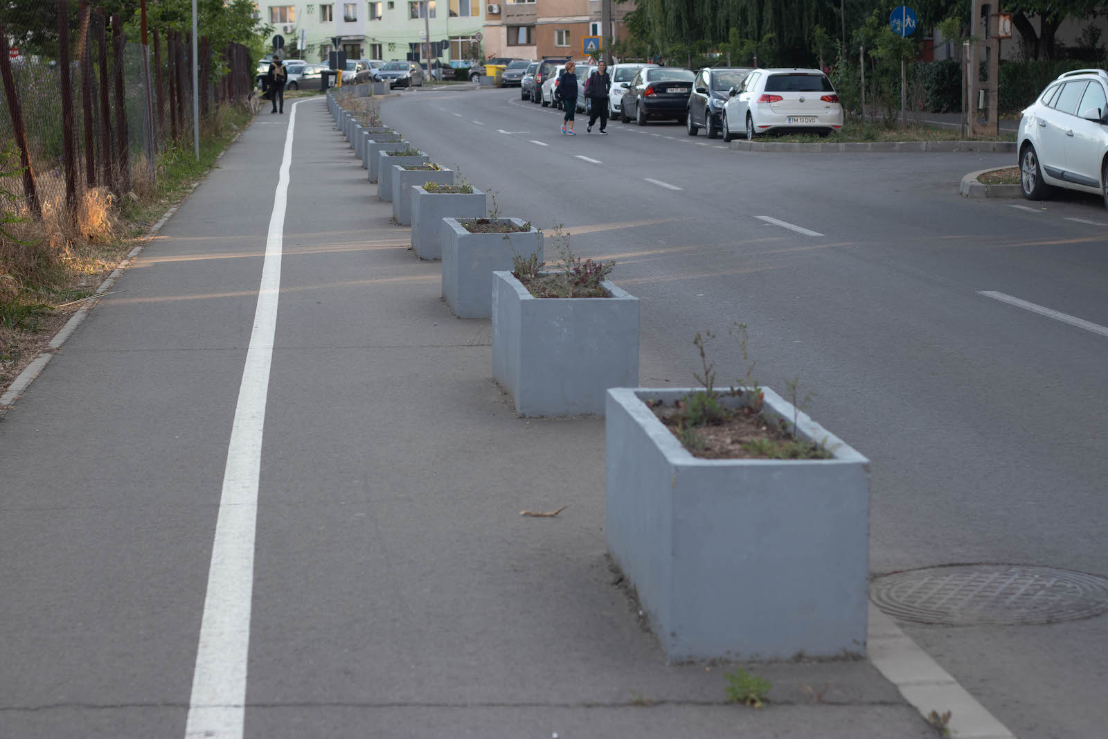 jardiniere flori uscate praf soarelui 14