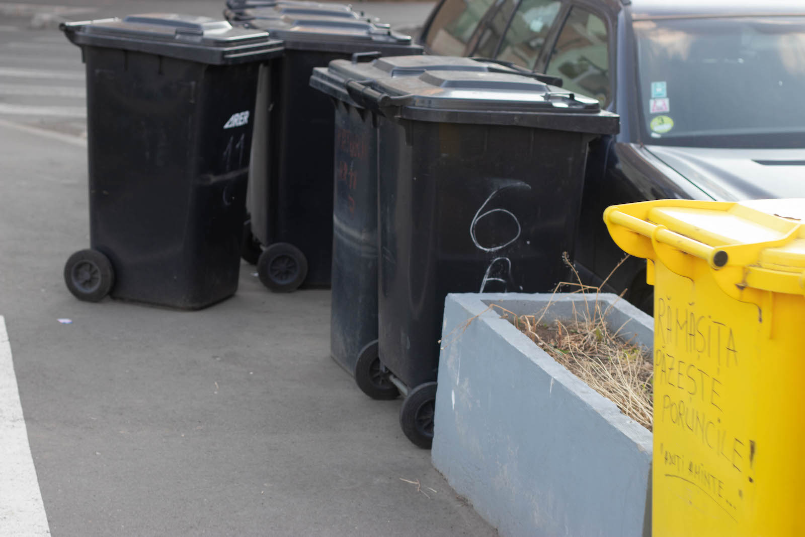 jardiniere flori uscate praf soarelui 15