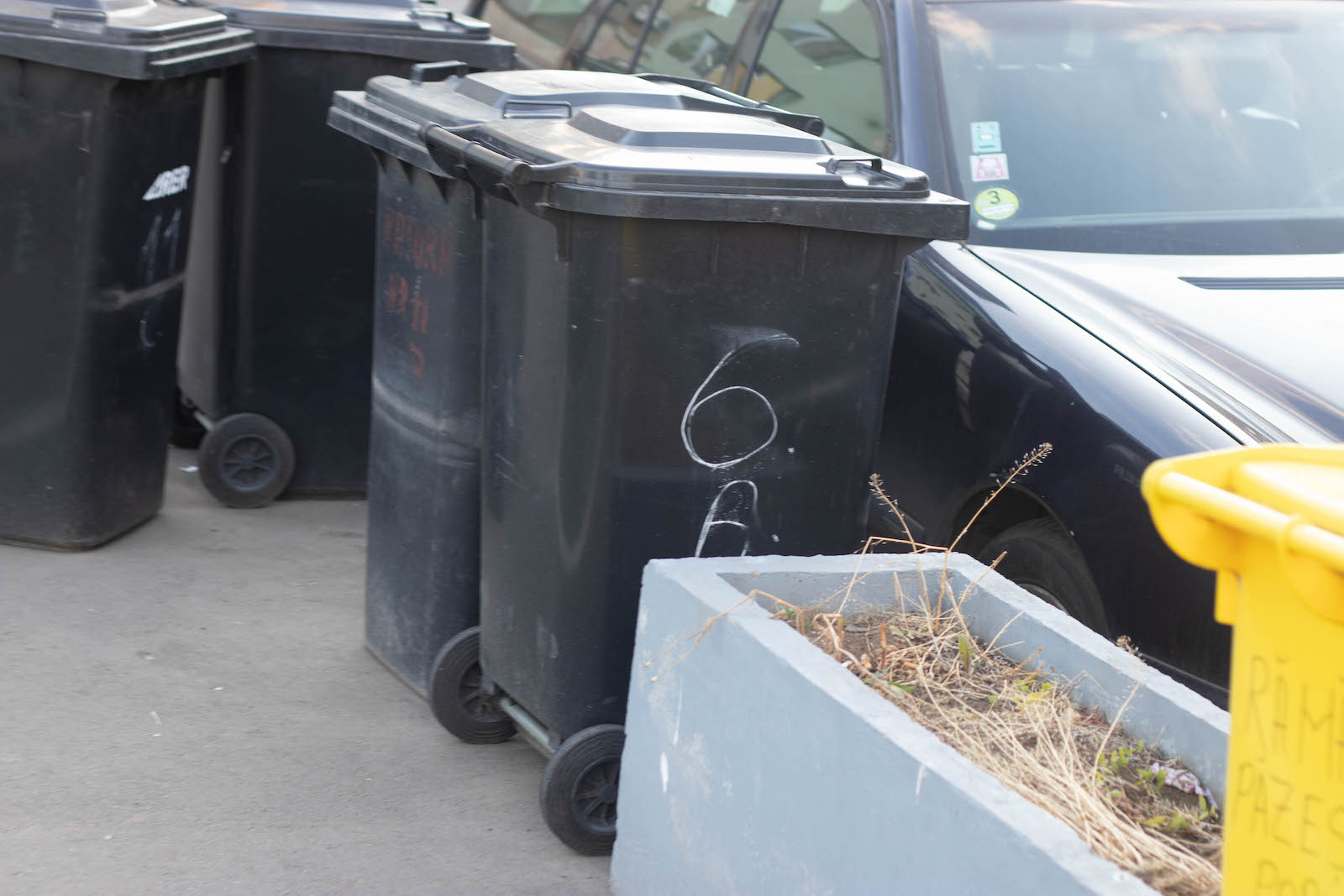 jardiniere flori uscate praf soarelui 16