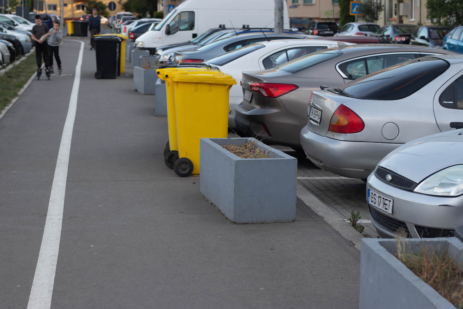 jardiniere flori uscate praf soarelui 17