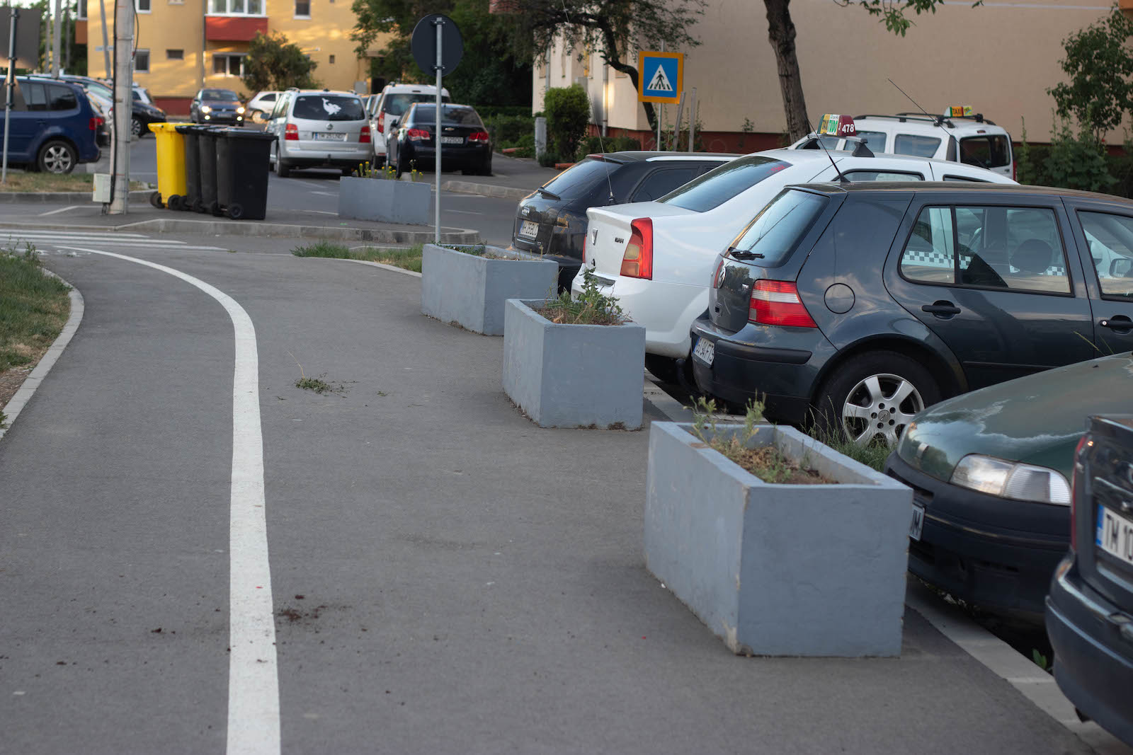 jardiniere flori uscate praf soarelui 18